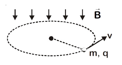 JEE Main 2020 (Online) 6th September Evening Slot Physics - Magnetic Effect of Current Question 79 English Explanation